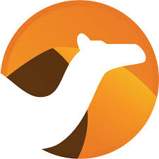 Apache Camel  x Hora
