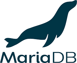 Maria DB  x Hora