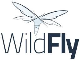 WildFly  x Hora